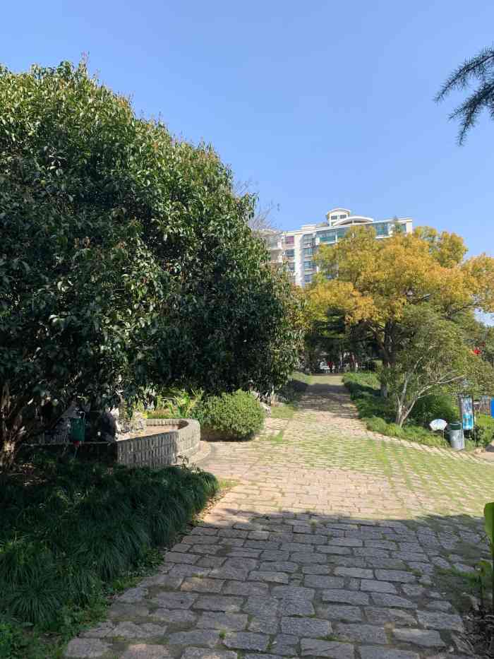 真光公园-"立志要趁着今天的好天气,努力扫完36615个.