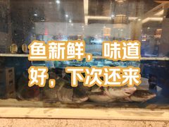 -翠云水煮鱼(双龙大道店)