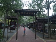 -杨柳青庄园