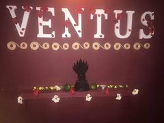 -ventus spa 沙巴亚庇正宗精油按摩会所