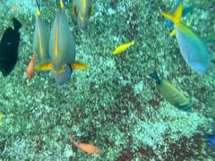 -新加坡水上探险乐园