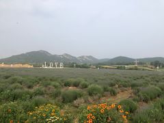 -西海岸生态观光园