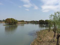 -梁鸿国家湿地公园