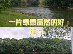 -黄椅山火山森林公园