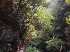 -浙北大峡谷