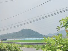-李东农庄(中南百草园地标店)