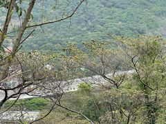 -小南山公园