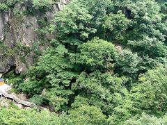 -洛阳白云山景区