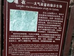 -磐安十八涡风景区