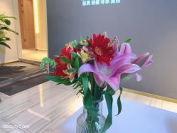 点击看大图 -苑苑vbeauty科技美容SPA