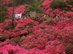 -木兰云雾山