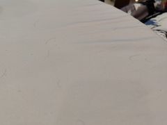 -东兴楼饭庄(六里桥店)