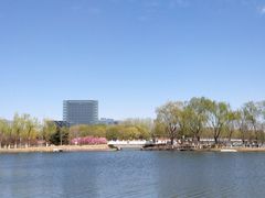 -大兴滨河森林公园