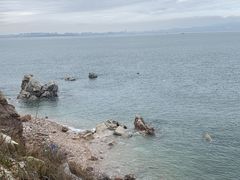-养马岛旅游度假区