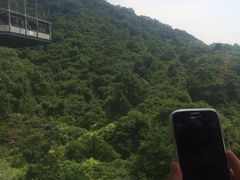 -东部华侨城