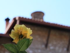 -梅黛奥拉修道院