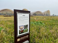 -中国天府农业博览园