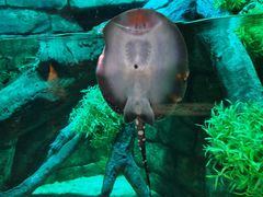 -沈阳海洋探索中心