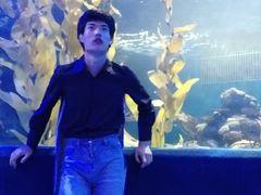 -梦幻海洋王国(吾悦广场张家港店)