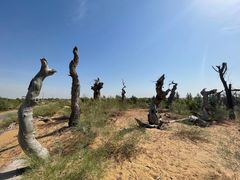 -亿利库布其七星湖沙漠生态旅游区