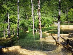 -黄龙山原始森林景区