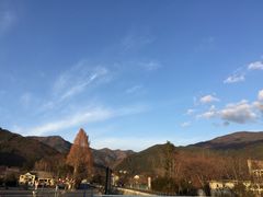 -河口湖八音盒之森美术馆