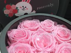 -ROSEONLY诺誓(磐基中心店)