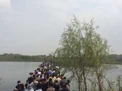 -溱湖国家湿地公园