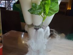 -探窝·竹笙椰子鸡(杨箕店)