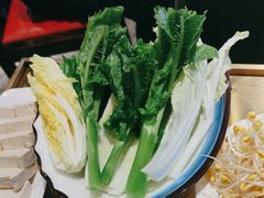 -红鼎坊·老成都火锅(新南门店)
