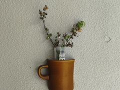 -Radar Coffee(思南路店)