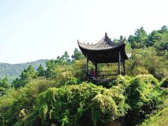-莲峰云海景区