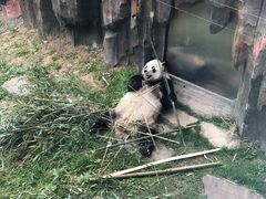 -大连森林动物园