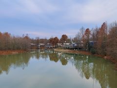 -上海海湾国家森林公园