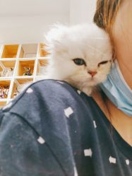 -隅日式美甲美睫專門店