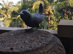 -三亚海韵度假酒店·渔人码头海鲜火锅BBQ自助餐厅·落日吧