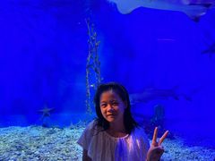 -太平洋海底世界