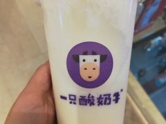 -一只酸奶牛(海南友谊阳光城店)