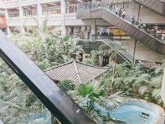 -黑龙江中医药大学附属第一医院