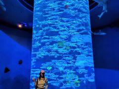 -香港海洋公园