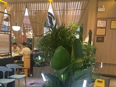 -润园四季椰子鸡火锅(南山海岸城店)