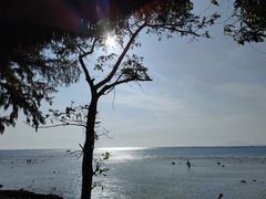 -三亚西岛海洋文化旅游区