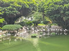 -九龙公园