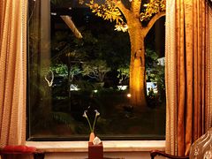 -大可堂普洱茶馆(襄阳南路馆)