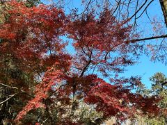 -莫干山风景区