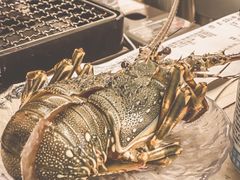 活烤小青龙-白仁仔· 活烤海鲜 宵夜(豫园店)