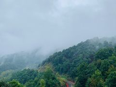 -横岗山森林公园