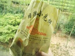 -九曲溪竹筏码头