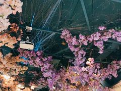 -香阁餐厅·常州菜·常州菜代表品牌(新北奥体店)
