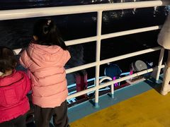 -澳门环岛游湾仔码头